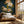 Whispers of Peony Wallpaper