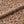 Mystical Forest Midnight Meadows Velvet Fabric