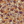 Mystical Forest Midnight Meadows Velvet Fabric