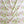 Organic Strawberry Patch Linen