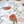 Organic Turn of the Seasons Robin Linen