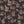Spicewood Linen in Chocolate by Parker and Jules