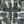 Passementerie Velvet Fabric