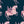 Pegasus wallpaper by Annika Reed in navy and pink, close-up of winged horses