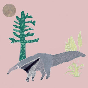 The Anteater Wallpaper