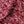 Pomegranate Velvet