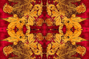Red River Velvet Fabric