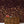 Seasons in Bloom Wallpaper Mural