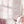 Days Like These Wallpaper in Candyfloss Pink by XV Interiors and Victoria Sanders, room setting