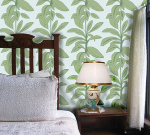 Rubber Plant Wallpaper