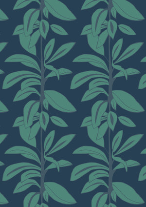Rubber Plant Wallpaper