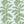 Rubber Plant Wallpaper