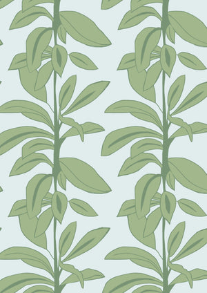 Rubber Plant Wallpaper