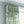 Rubber Plant Blue Linen