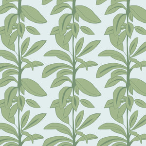 Rubber Plant Blue Linen