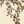 Seasons of the Vine Wallpaper