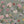 Seasons in Bloom Wallpaper Mural