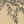 Seasons of the Vine Wallpaper