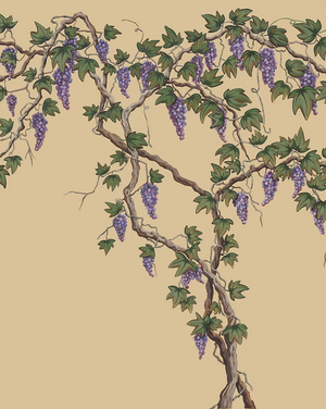 Seasons of the Vine Wallpaper