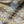 Shell Wallpaper
