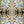 Shell Wallpaper