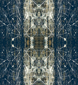 Midnight Stardust Grasscloth
