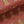 Tibetan Tiger Burnt Orange Linen