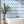 Wave After Wave Sustainable Wallpaper