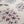 White Hydrangea Fabric- Cotton Drill