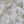 Wrens in the Ivy Organic Calico Fabric Linen